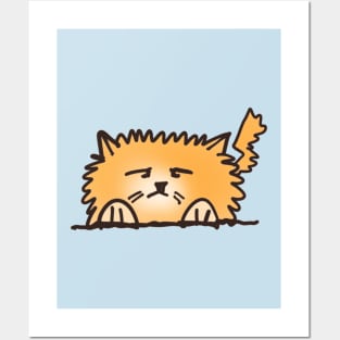 Fluffy Orange Cat Posters and Art